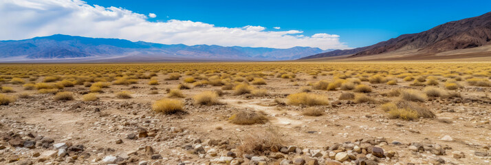 Sticker - Death Valley Desert USA