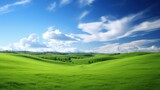 Fototapeta Przestrzenne - a field of green grass under a blue sky