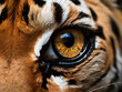 Generative KI Auge eines Tigers in Nahaufnahme Makro
