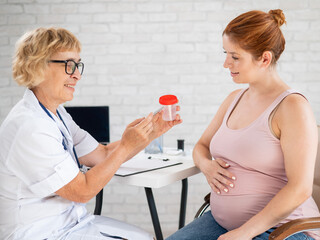 Wall Mural - The doctor explains to a pregnant patient how to pass a urine test.