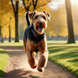 happy airedale terrier dog running in the city park. Generative Ai