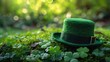 St. Patrick's Day Celebration: People, Beer, Hats, and Irish Spirit
