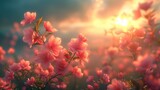 Fototapeta Do pokoju - Widok z wierzchołka drzewa na wschód słońca i zbliżenie na różowe kwiaty symbolizujące początek wiosny. Tło, natura, tapeta