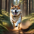 Akita Inu dog running wildly in a forest with open mouse. Generative AI