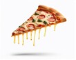 © Louis - Delicious Pizza Slice Illustration on White Background