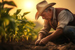 Senior farmer working in corn field at sunset, agriculture and farming concept