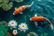 Yin Yang Two Koi fishes swimming in a pond with white lotus flowers