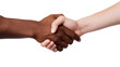 © ArtStockVault - Black and White hand handshake isolated on a transparent background.
