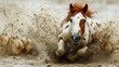 a brown and white horse running through a puddle of muddy water in a field of brown grass and dirt, with it's front legs in the air, and it's front legs in the air, it's front, it's front.