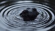 a close up of a hippopotamus in a body of water with a drop of water around it.