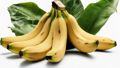 Poster - A bunch of bananas with green leaves