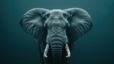 Fototapeta  - a close up of an elephant's face with its tusks and tusks sticking out of the water.