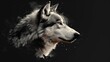 a close up of a wolf's head on a black background with snow flakes on the side of the wolf's head.