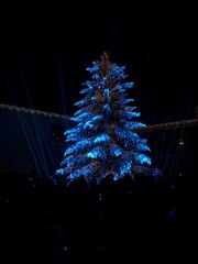 town christmas tree