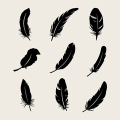 Wall Mural - Feather black silhouette. Hand sketching feather icons and vector illustration
