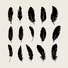 Wall Mural - Feather black silhouette. Hand sketching feather icons and vector illustration
