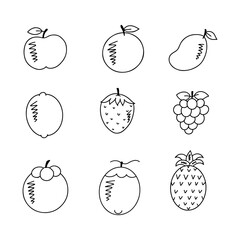 Wall Mural - Fruits doodle line vector illustration