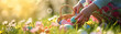 Child picking colorful Easter eggs to the basket on the meadow with grass, spring flowers and sun shining. Closeup on his hands, copyspace. Horizontal, banner.