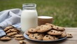 A plate of cookies and a glass of milk