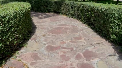 Walking path in park made in shape of maze and surrounded by neatly trimmed bushes. Traditional landscaping