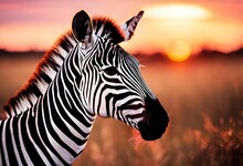 AI Illustration Of A Zebra Standing In A Grassy Field At Sunset.