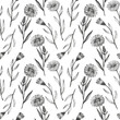 Calendula plant seamless pattern repeating background hand drawn medicinal daisy flower leaves Vector herbal engraved backdrop Botanical sketch for tea, organic cosmetic, medicine aromatherapy textile
