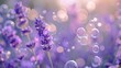  a close up of a bunch of water droplets on a purple plant with lavender flowers in the foreground and a blurry background of bubbles in the foreground.