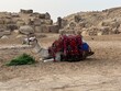 Wartendes Kamel bei den Pyramiden von Giseh