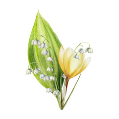 Watercolor bouquet of yellow blooming crocus and lily of the valley flowers isolated on white background. Spring and easter botanical hand painted saffron illustration. For designers, wedding, decora