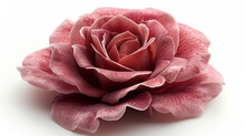 Single Pink Paper Rose
