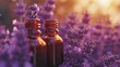  two bottles of lavender oil sitting on top of a field of lavender flowers in front of a boke of boke of boke of purple flowers in the foreground.