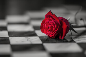 Canvas Print - photo of a black and white chess board with a red rose on it