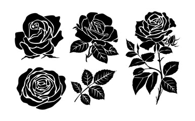 Wall Mural - Set of black silhouettes of decorative fresh blossoming rose with steam and leaves. Hand drawn outline flower icon. Vector monochrome illustrations isolated on transparent background.