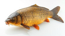 A Detailed And Realistic Image Of A Golden Carp, Showcasing Its Intricate Scales And Fins, Isolated Against A White Background.