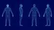 © HTGanzo - Three-dimensional human model in blue wireframe from different angles
