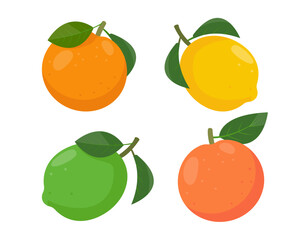 Wall Mural - Set of citrus fruits icons. Fresh whole orange, lemon, lime and grapefruit with leaves. Organic fruits for juice, smoothie or vitamin C healthy food. Vector illustration isolated on white background.