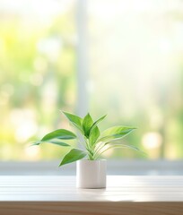 Canvas Print - A small plant in a white pot on a table. Generative AI.