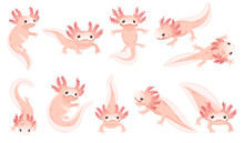 Set Of Cute Cartoon Axolotl Pink Color Amphibian Animal Vector Illustration Isolated On White Background