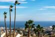 Palm trees on a hilltop overlooking the Mediterranean Sea in Benalmadena, Spain. Strong, gusty wind.