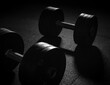 © fadel - dumbbell on black