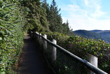 Hiking Trail On Ocean-side Cliff. Wooden Fencing.