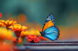 Beautiful colorful butterfly on a flower. The concept of nature, spring, beauty.