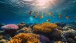 Oceanography brought to life through the vivid scenery of coral reefs.