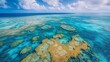Oceanography brought to life through the diverse marine species of the Great Barrier Reef.