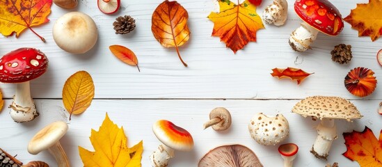 Wall Mural - Autumn mushrooms and leaves on a white wooden background.