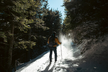 Canvas Print - Hiker in a wintry mountain landscape