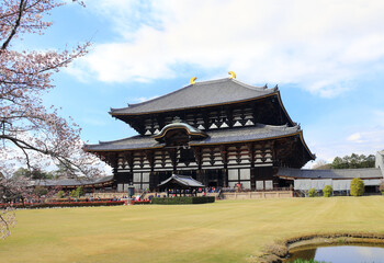 Wall Mural - Todaiji Temple and blooming sakura branches. Great Eastern Temple, one of Seven Great Temple. Spring time in Japan. Sakura blossom season. Cherry blossoming season in Asia. Japanese hanami festival