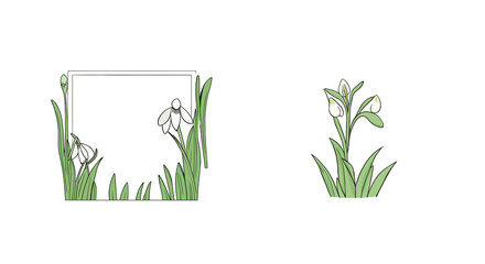 Wall Mural - Designer eco-frame with white snowdrops in green tones, executed in a vector style, on a white background, with empty space for your text.