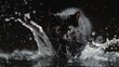 black cat in black background with water splash