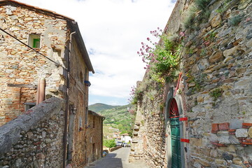 Wall Mural - Fortress of Brunelleschi in Vicopisano, Tuscany, Italy